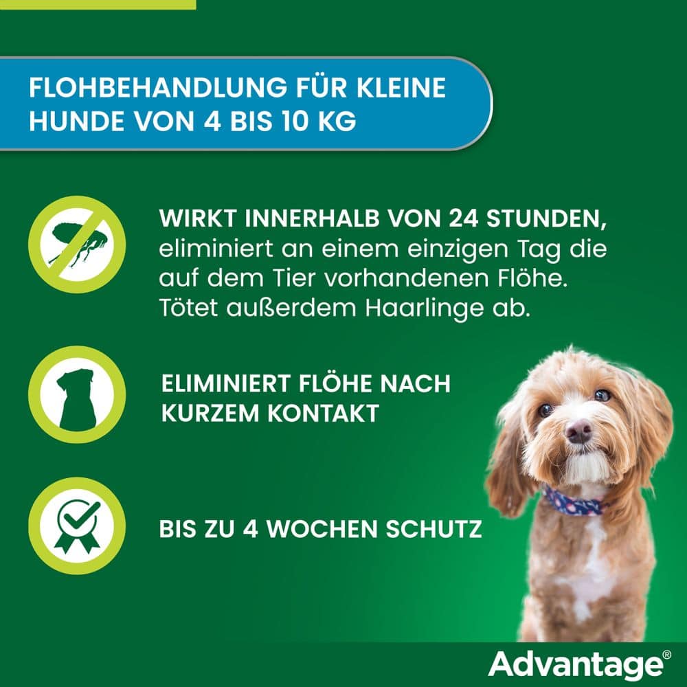 Advantage 100 Lösung zum Auftropfen für Hunde 4-10 kg 4 St Lösung