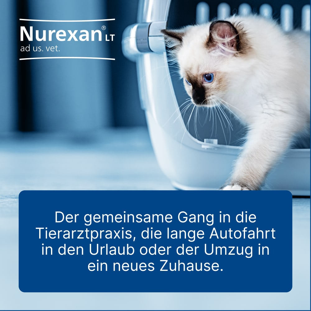 Nurexan LT ad us. vet. 500 St Tabletten