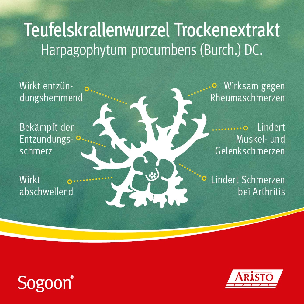 Sogoon 480 mg 200 St Filmtabletten