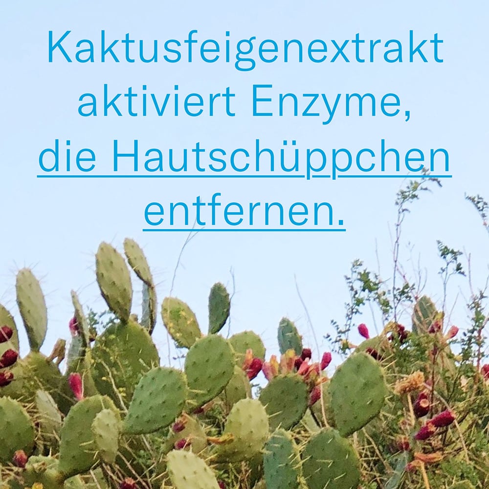 LETI balm Fußpflegecreme 100 ml Creme