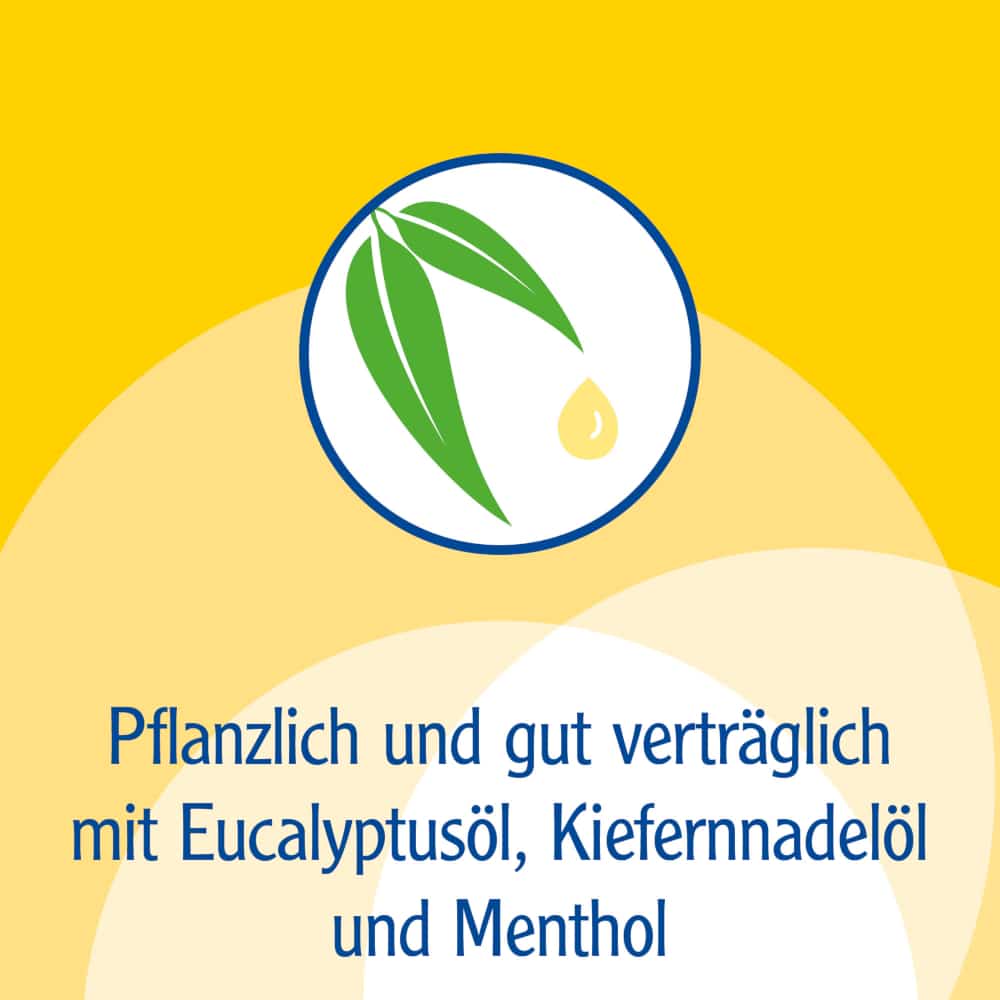 Pinimenthol Erkältungssalbe ab 12 Jahren - mit Eucalyptusöl, Kiefernnadelöl und Menthol 50 g Creme