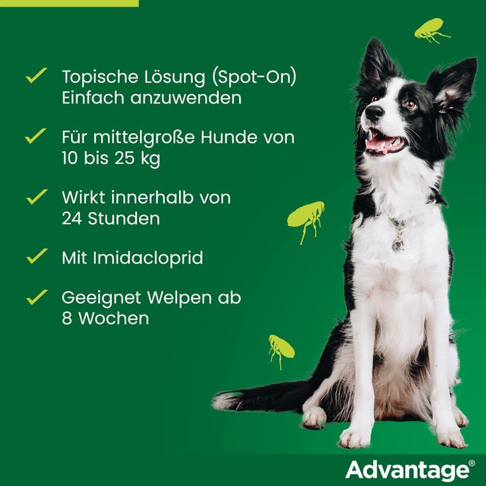 Advantage 250 Lösung für Hunde 10-25 kg 4 St Lösung