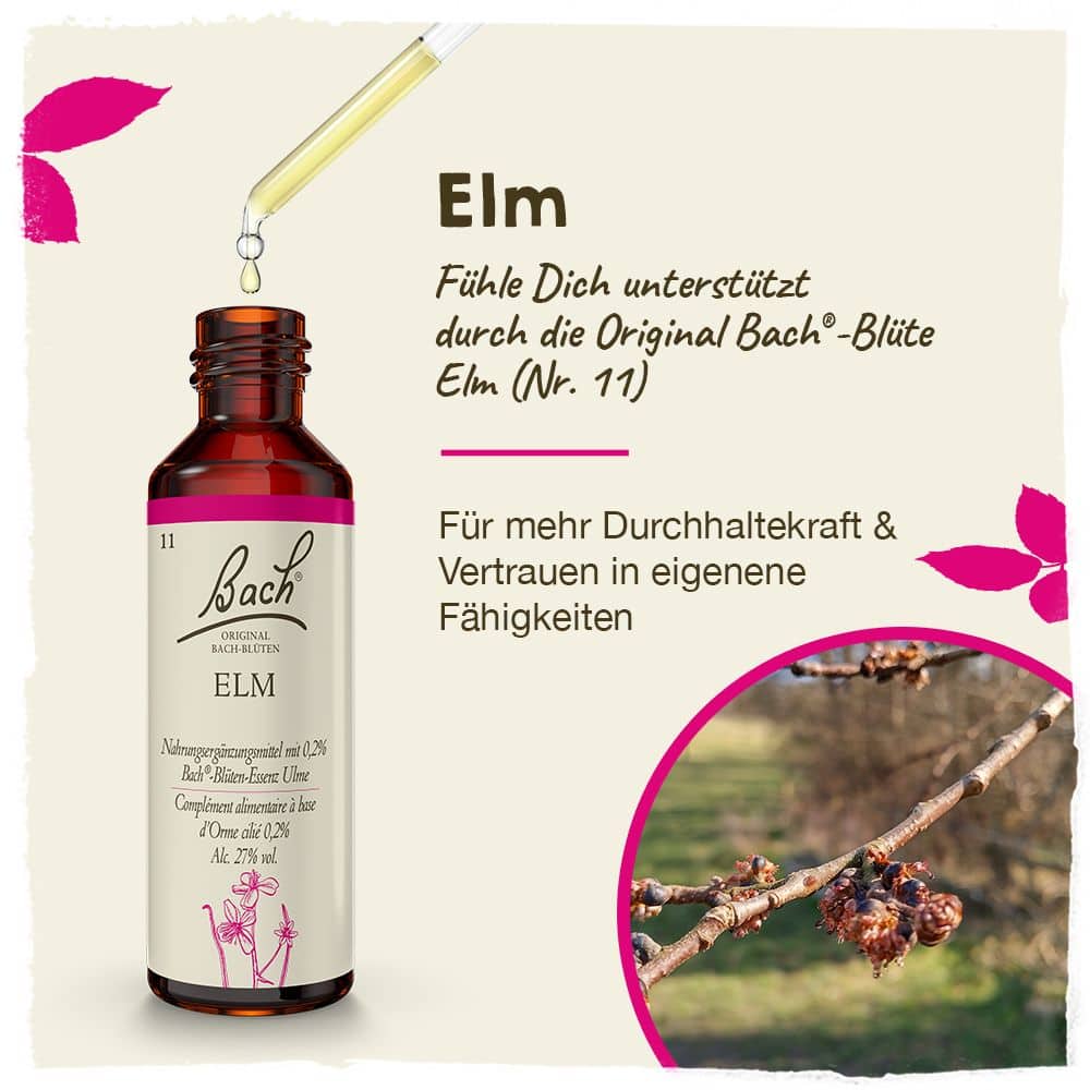 BACHBLÜTEN Original Elm Nr. 11 20 ml Tropfen