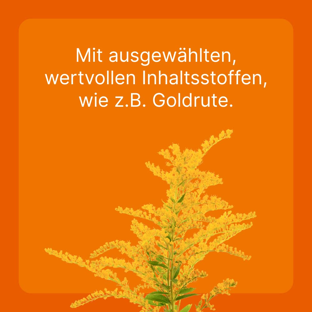 Solidago compositum ad us. vet.  10 St Ampullen