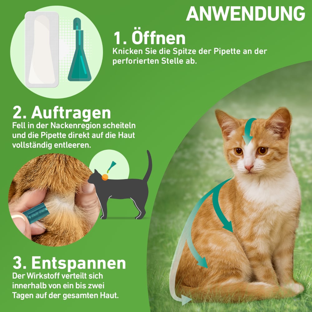 FRONTLINE COMBO 6 Stk. Kombischutz für Tier & Heim gegen Zecken, Flöhe & Haarlinge bei Katzen 6 St Lösung