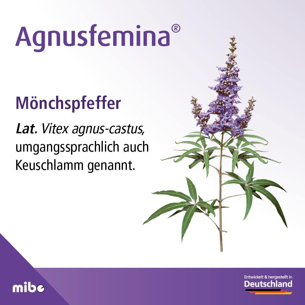 Agnusfemina 100 St Filmtabletten