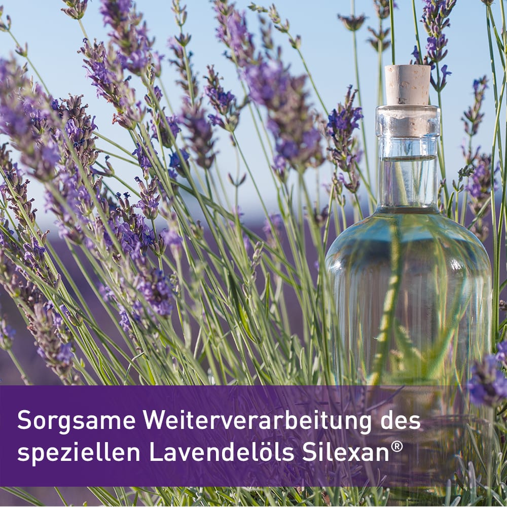 Lasea Set Natürliche Ruhestifter 1 Sparset