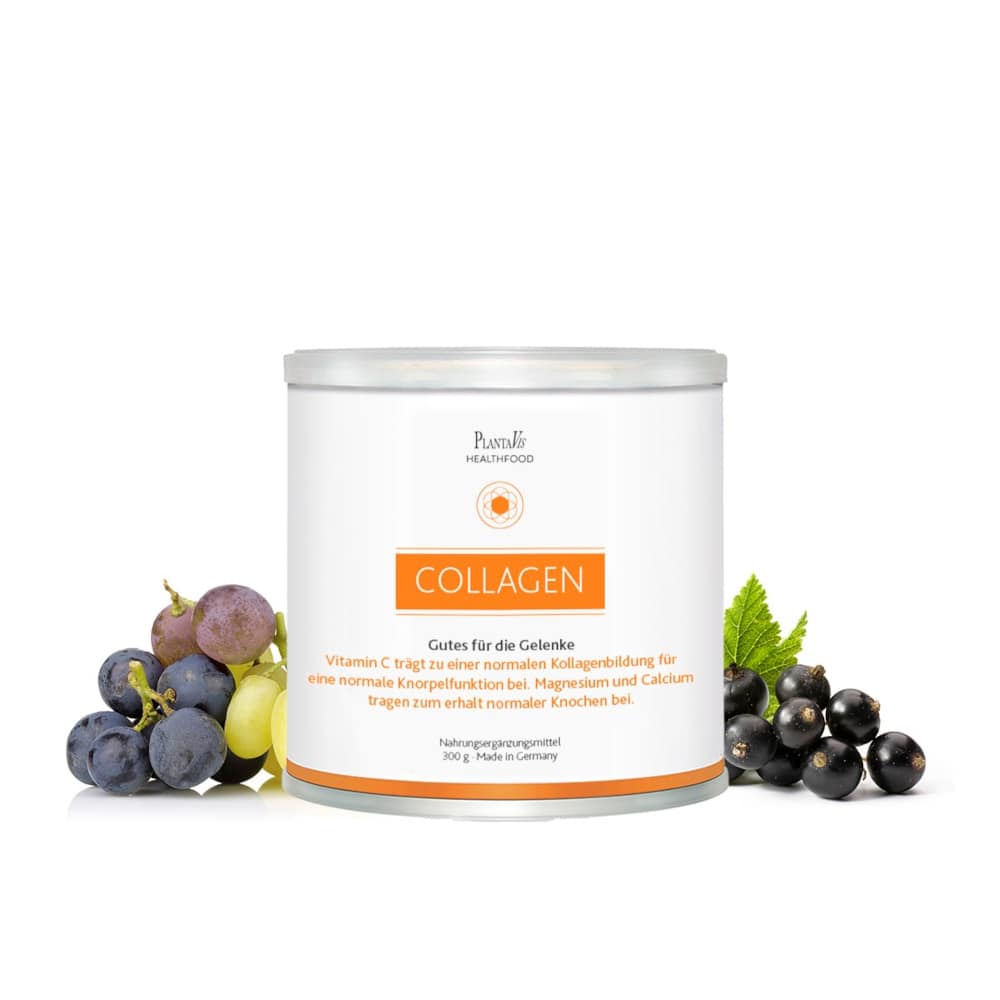 Collagen - Gutes für Gelenke 300 g Pulver