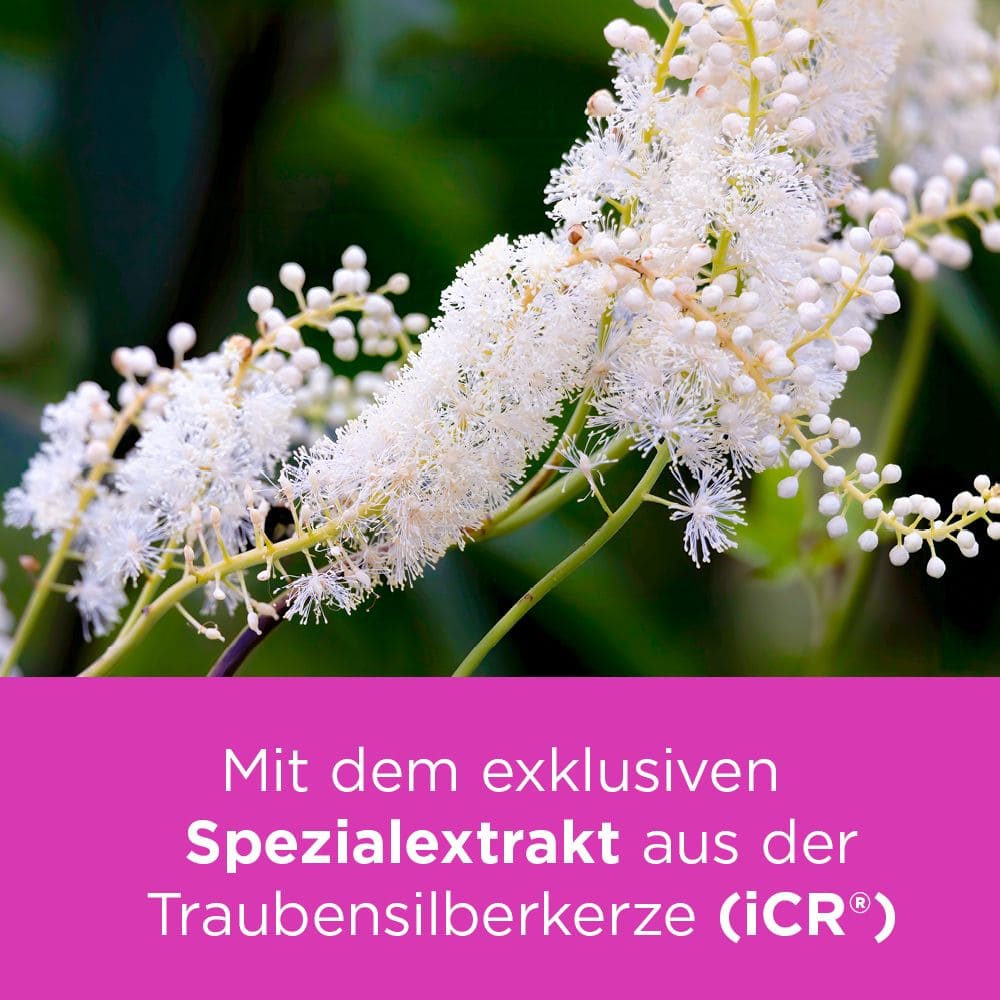 Remifemin mono bei Wechseljahresbeschwerden 60 St Tabletten