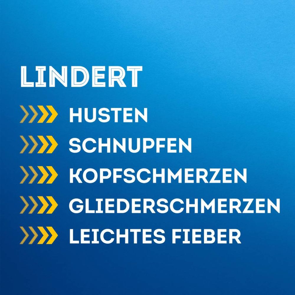 WICK DayMed für den Tag 20 St Hartkapseln