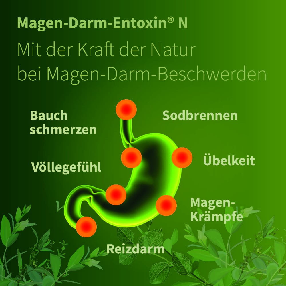 MAGEN DARM ENTOXIN N Tropfen 100 ml Tropfen