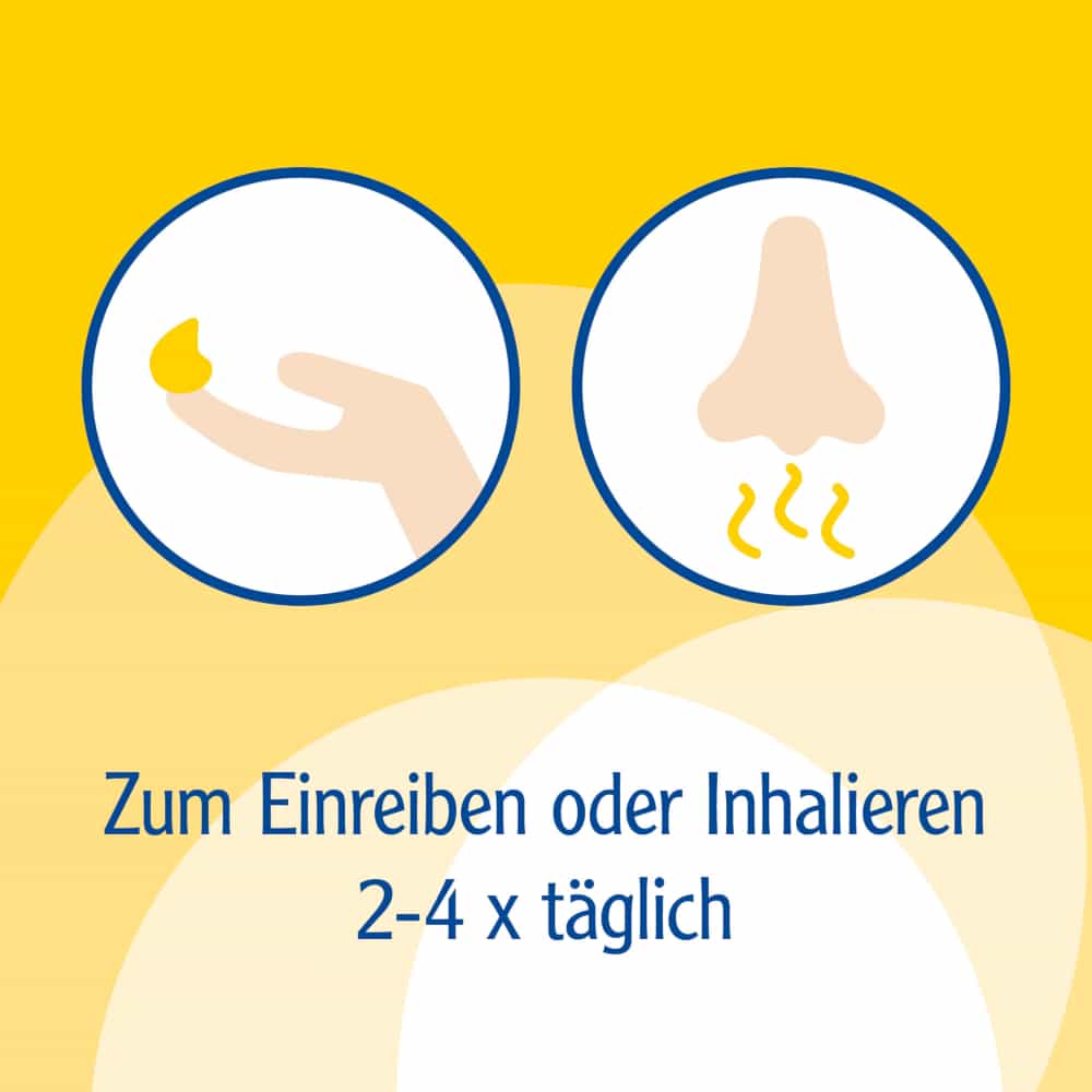 Pinimenthol Erkältungssalbe ab 12 Jahren - mit Eucalyptusöl, Kiefernnadelöl und Menthol 50 g Creme