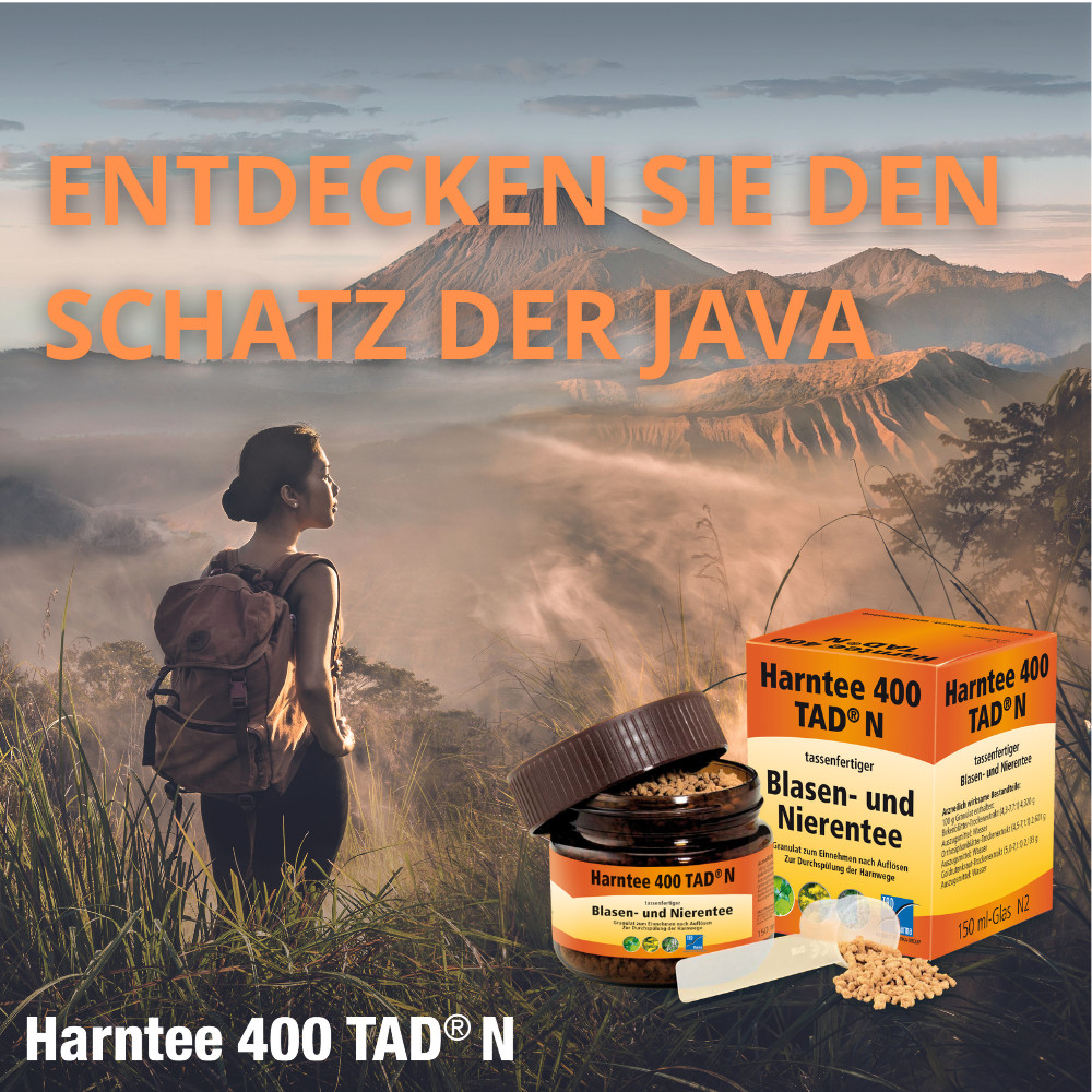 Harntee 400 TAD N Blasen- und Nierentee 300 ml Granulat