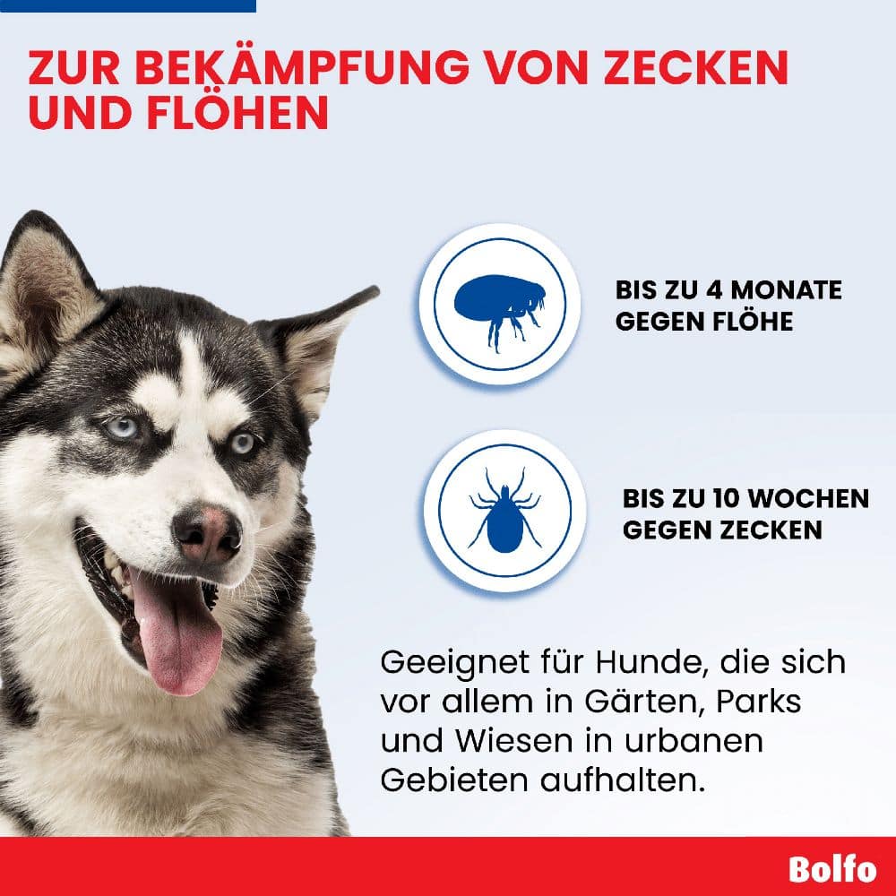 Bolfo Flohschutzband braun für große Hunde 1 St Halsband