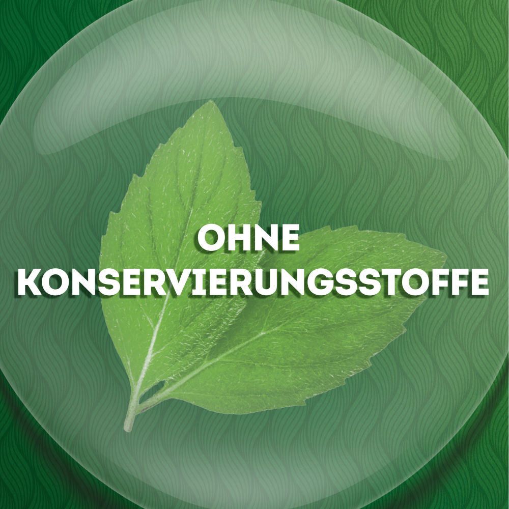 Nasivin Natura Nasenspray 20 ml Nasenspray