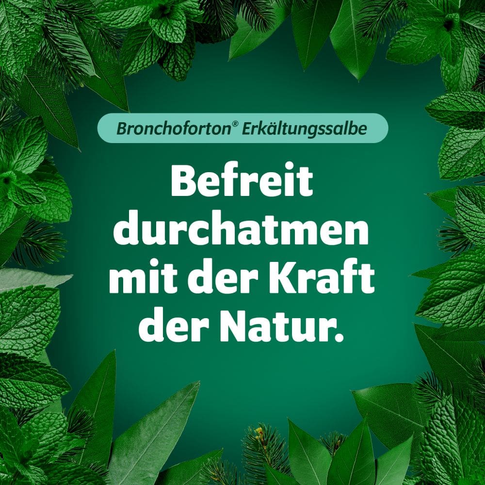 Bronchoforton Erkältungssalbe 40 g Salbe