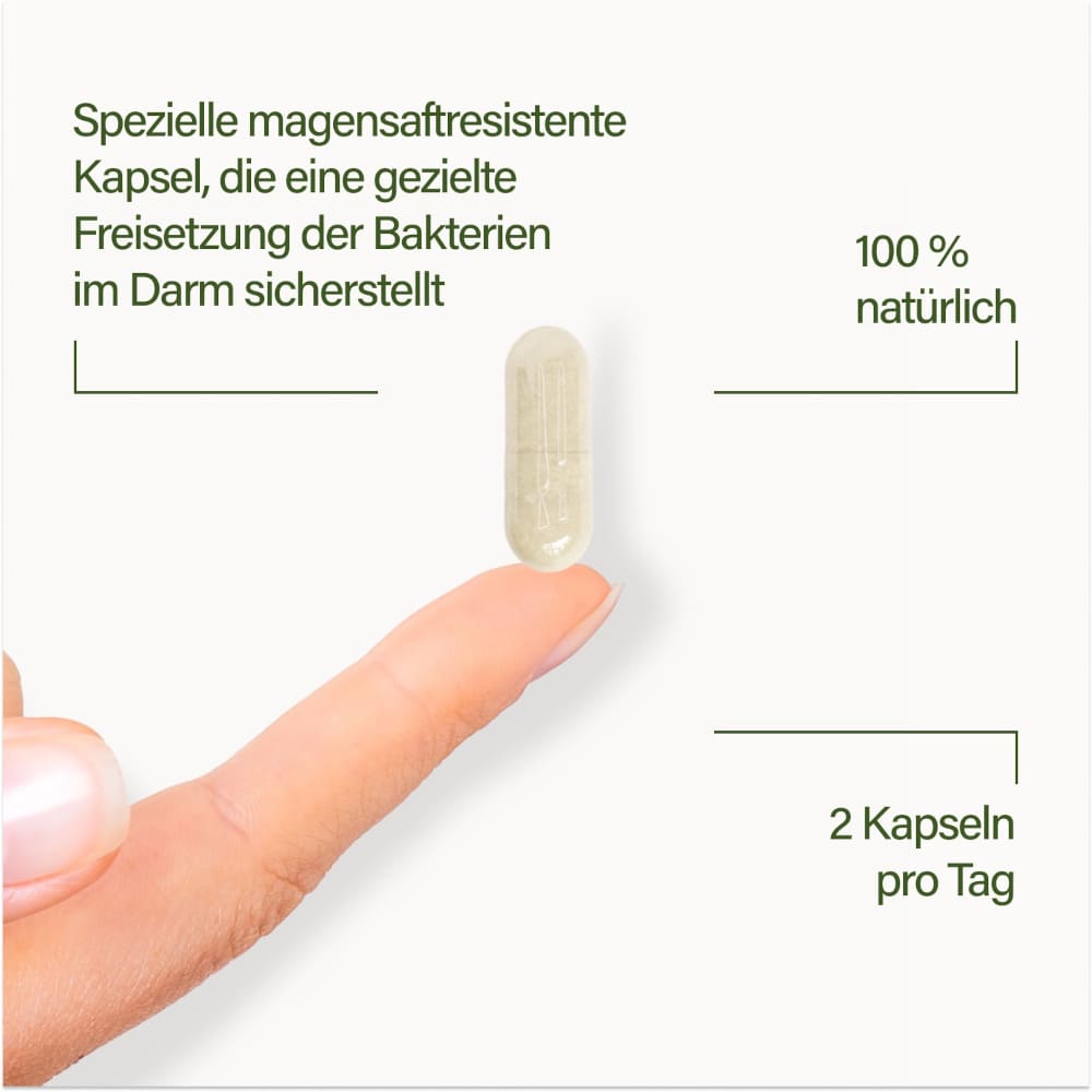 Nupure probaflor Max Spektrum N95 Kapseln 30 St 30 St Kapseln magensaftresistent