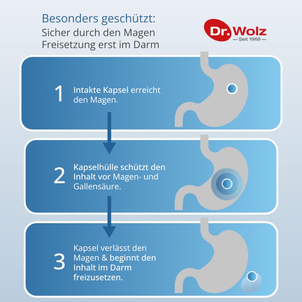 Dr. Wolz Darmflora plus select  40 St Kapseln