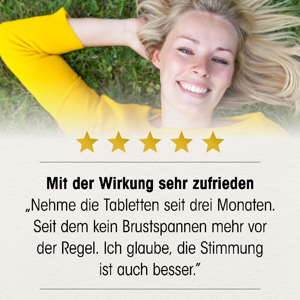 Dr. Böhm Mönchspfeffer 4 mg 60 St Filmtabletten