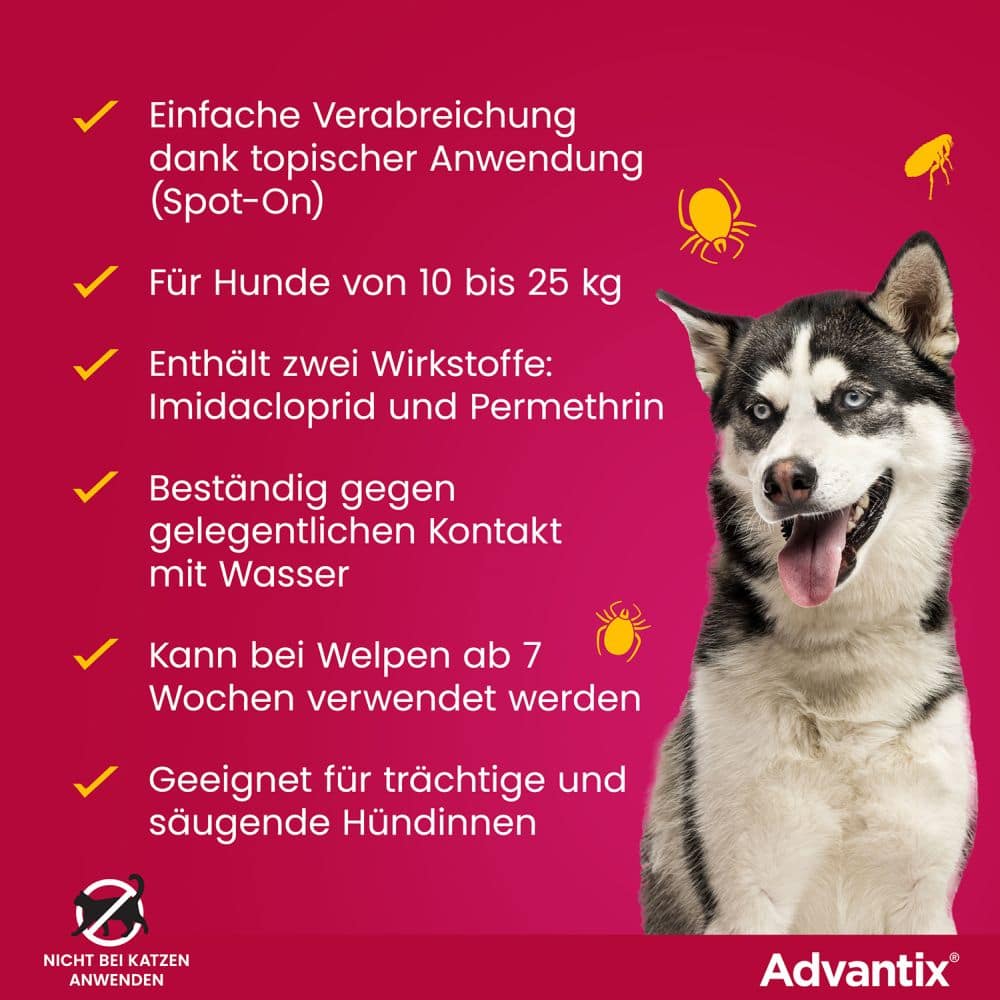 Advantix Spot on für Hunde 10-25kg 4 St Lösung
