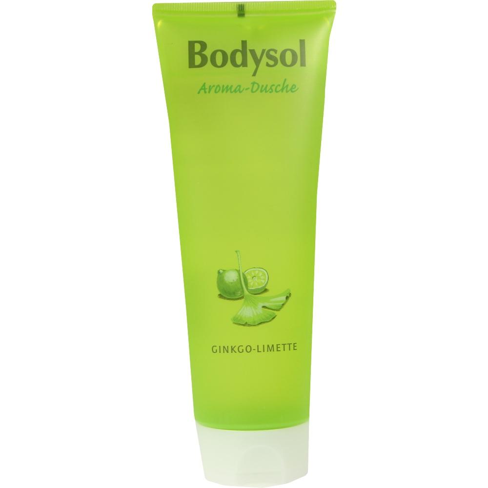 Bodysol Aroma Dusche GINKGO-LIMETTE 250 ml Duschgel