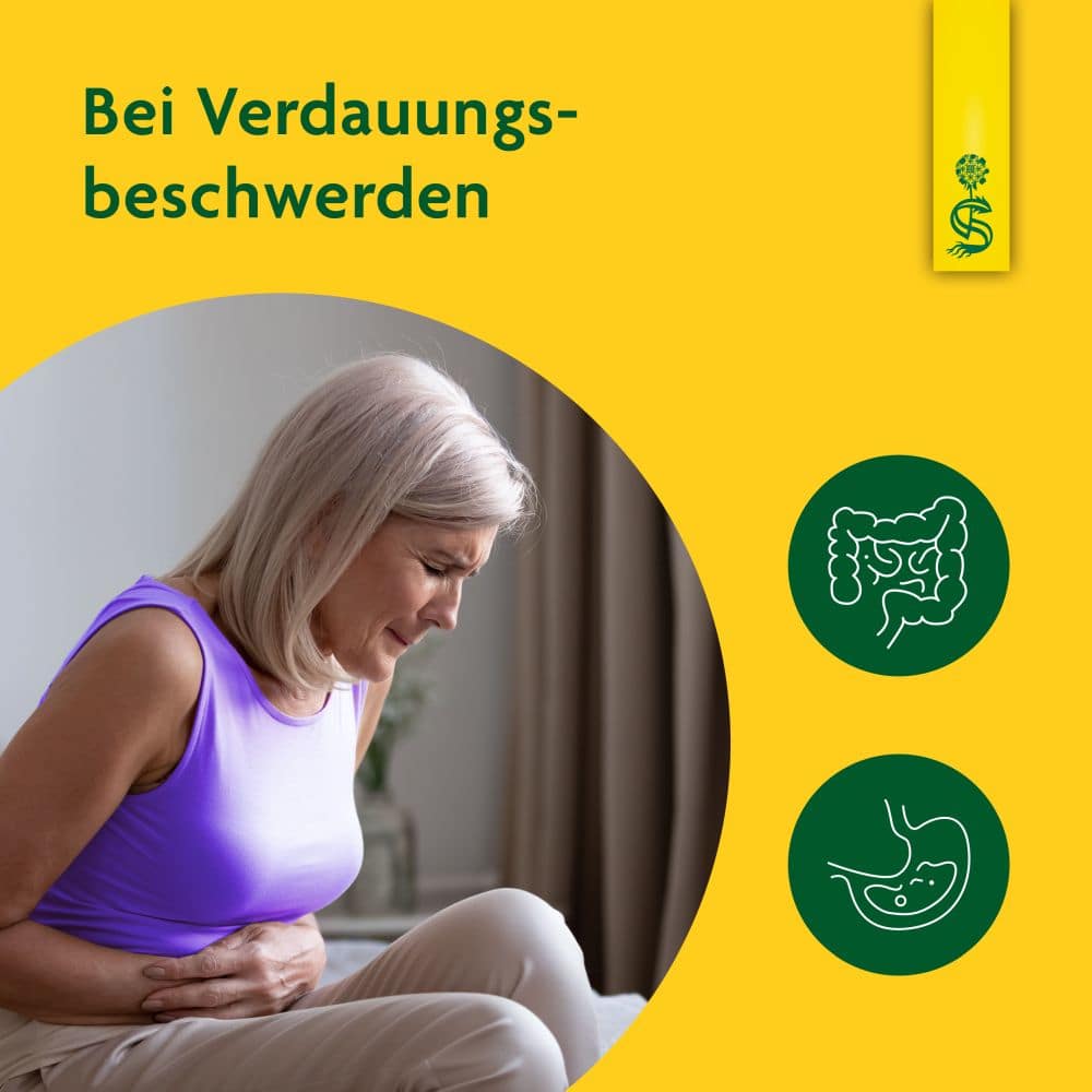 Schoenenberger Artischocke Naturreiner Heilpflanzensaft  3X200 ml Saft
