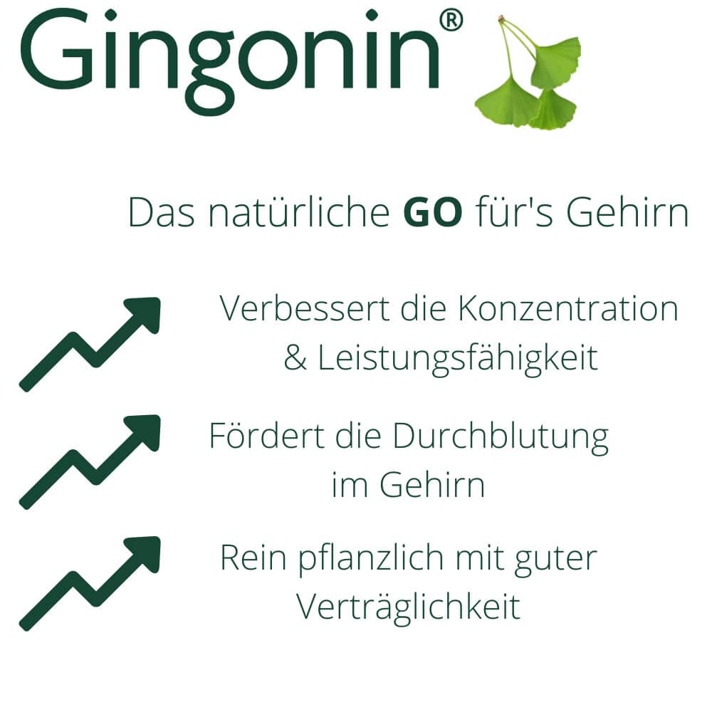 Gingonin 120mg 120 St Hartkapseln