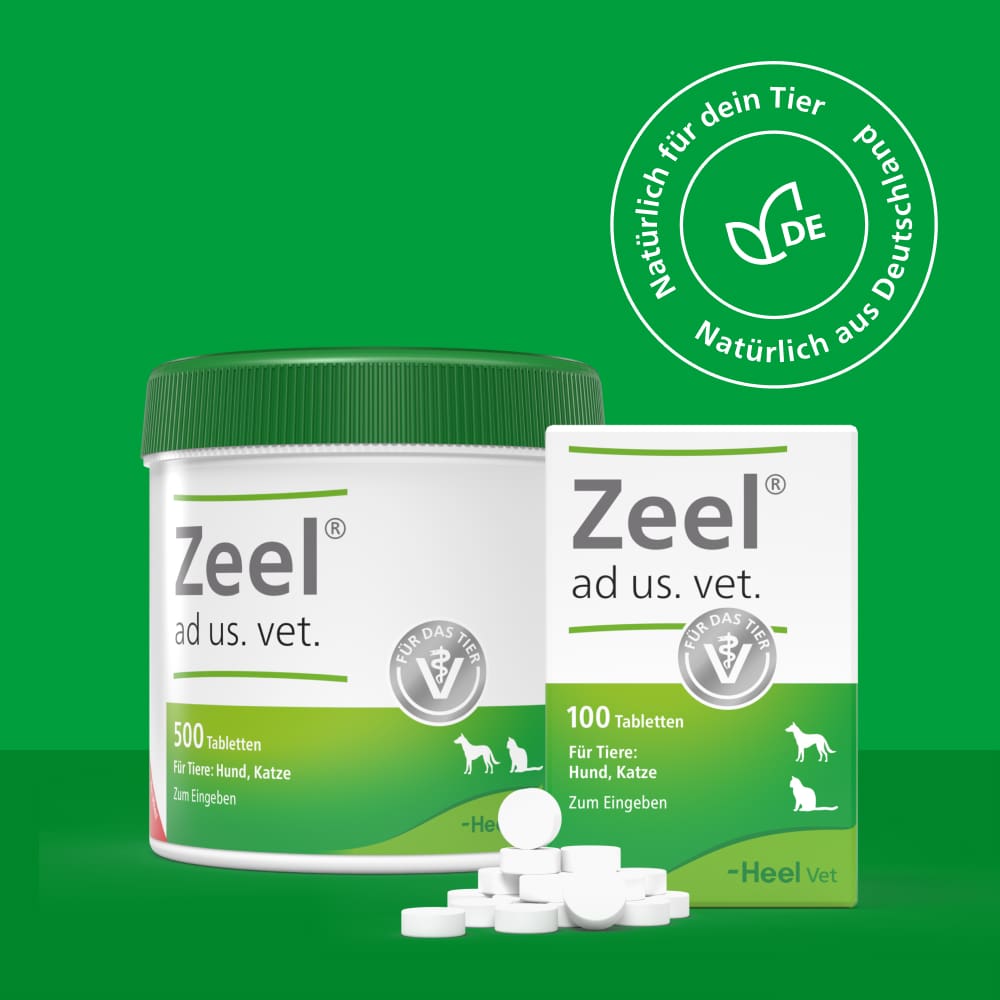 Zeel ad us. vet.  500 St Tabletten