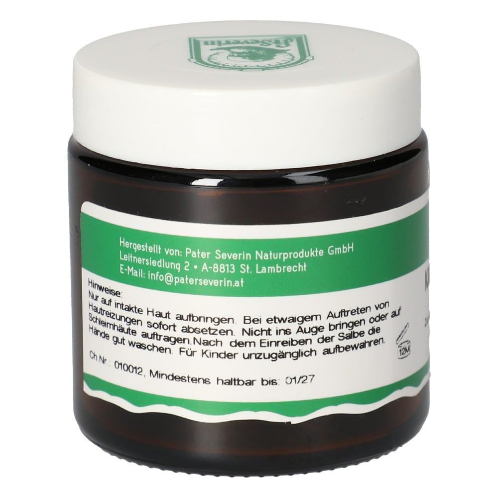 KAMPFERSALBE 100 g Salbe