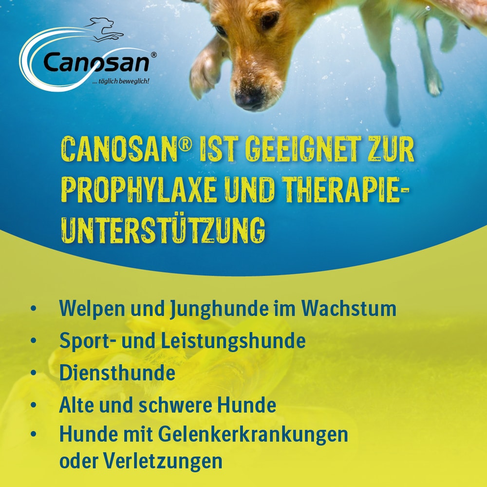 CANOSAN Pellets bei Gelenkproblemen Hund mit Grünlippmuschel-Extrakt Gonex 650 g Konzentrat CANOSAN Pellets bei Gelenkproblemen Hund mit Grünlippmuschel-Extrakt Gonex 650 g Konzentrat