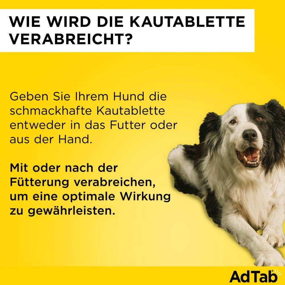 AdTab Kautabletten 112mg für Hunde 2,5-5,5 kg Elanco 3 St Kautabletten