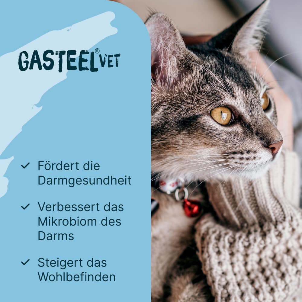 GASTEEL vet. 50 St Kapseln