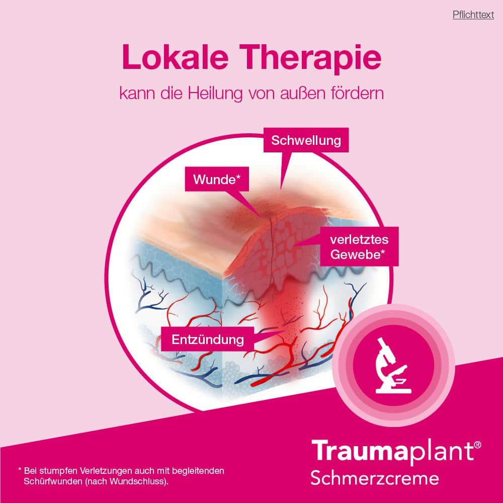 Traumaplant Schmerzcreme 100 g Creme