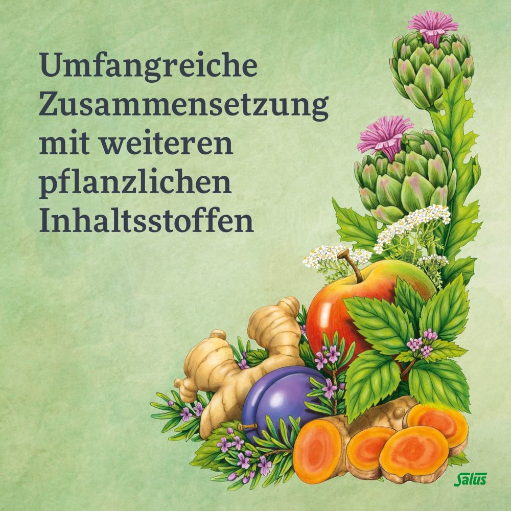 Salus Darm-Care Curcuma Bioaktiv Tonikum 250 ml Tonikum