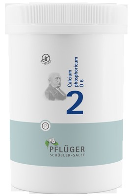 Schüßler-Salz Nr. 2 Calcium phosphoricum D6 4000 St Tabletten