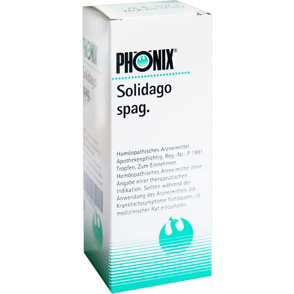 Phönix Solidago spag. Tropfen 100 ml Mischung