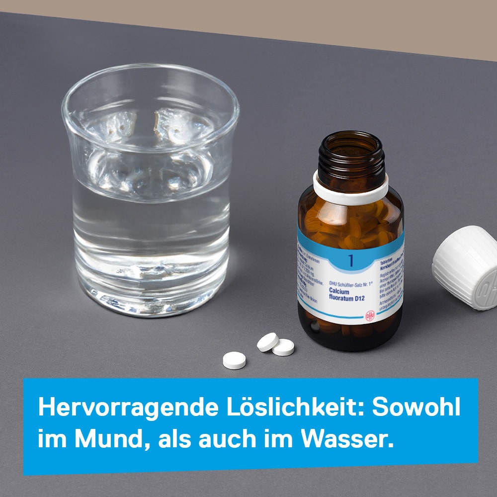 DHU Schüßler-Salz Nr. 1 Calcium fluoratum D12 80 St Tabletten