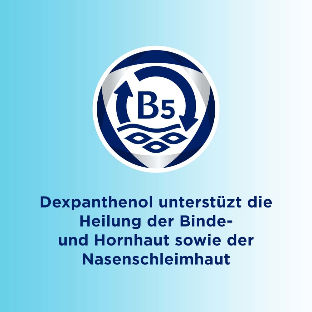 Bepanthen AUGEN- UND NASENSALBE 10 g Augen- und Nasensalbe
