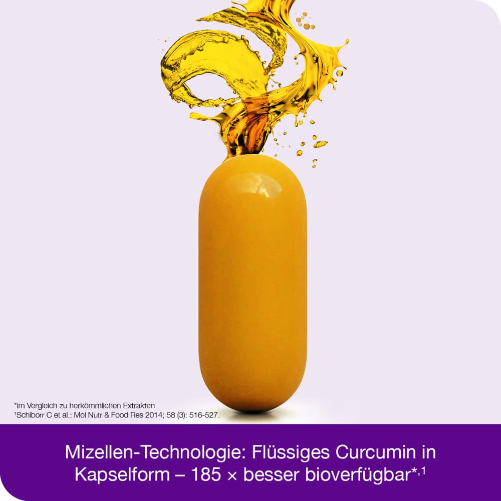 curcumin-Loges arthro plus UC-II 60 St Kapseln