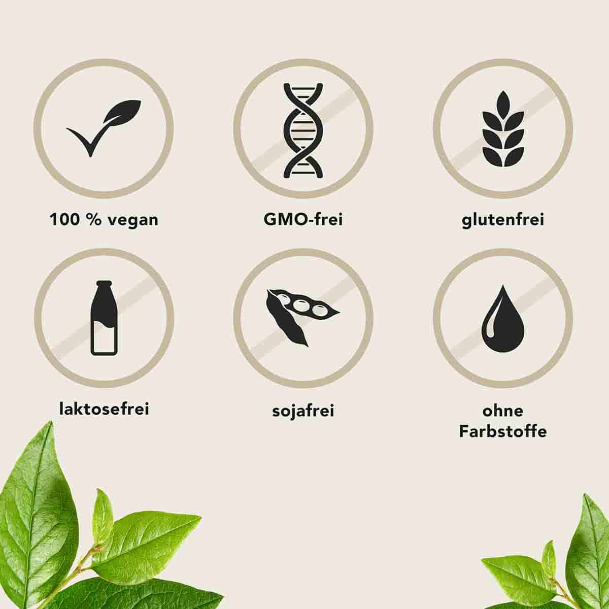Fermentura GINKGO DUO 30 St Kapseln