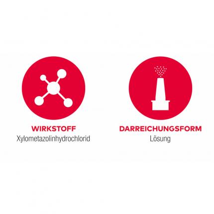 Nasenspray AL 0,1% 10 ml 4er Set 4X10 ml Lösung