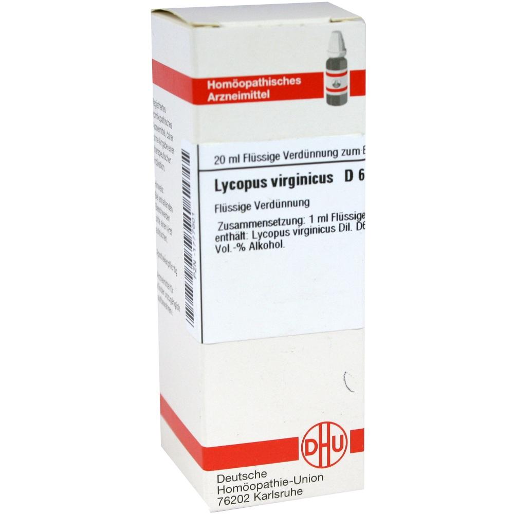 LYCOPUS VIRGINICUS D 6 Dilution 20 ml Dilution