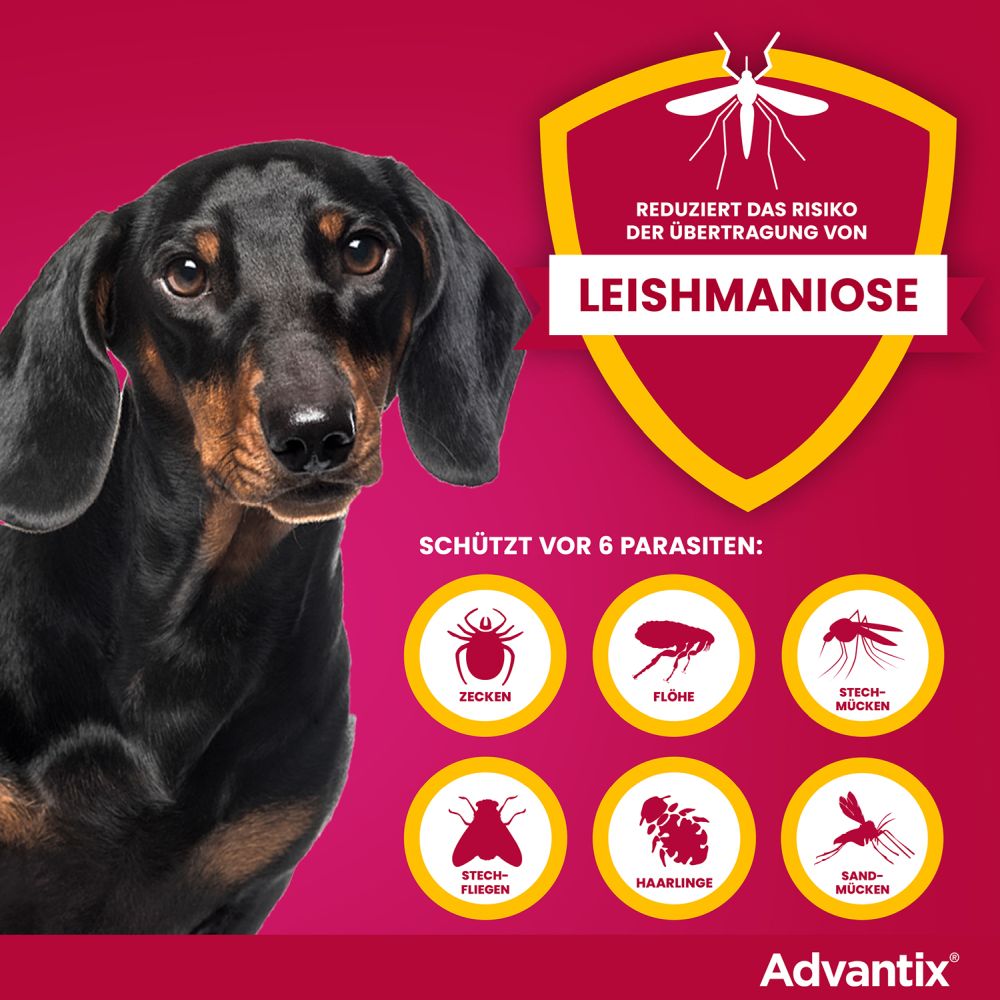Advantix Spot-on für Hunde 4-10kg 4 St Lösung