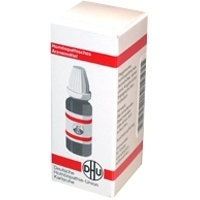 PLANTAGO MAJOR D 12 Globuli 10 g Globuli