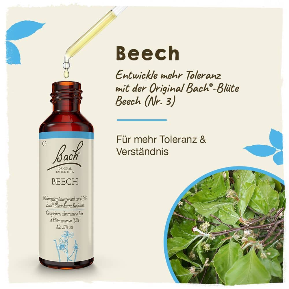 BACHBLÜTEN Original Beech Nr.3 20 ml Tropfen