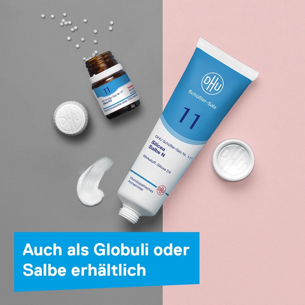 DHU Schüßler-Salz Nr. 11 Silicea D6 200 St Tabletten