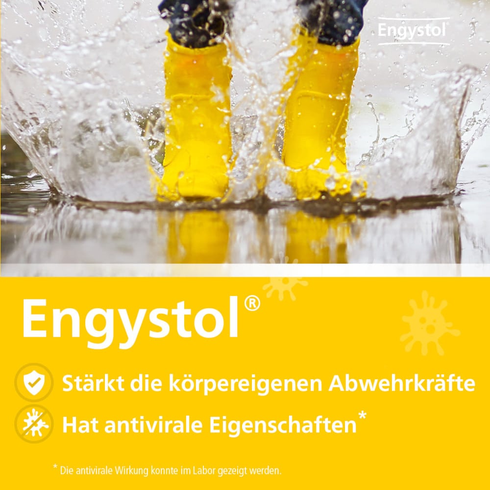 Engystol bei grippalen Infekten 50 St Tabletten