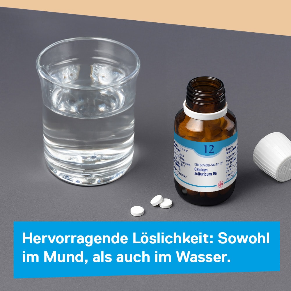 DHU Schüßler-Salz Nr. 12 Calcium sulfuricum D6  900 St Tabletten