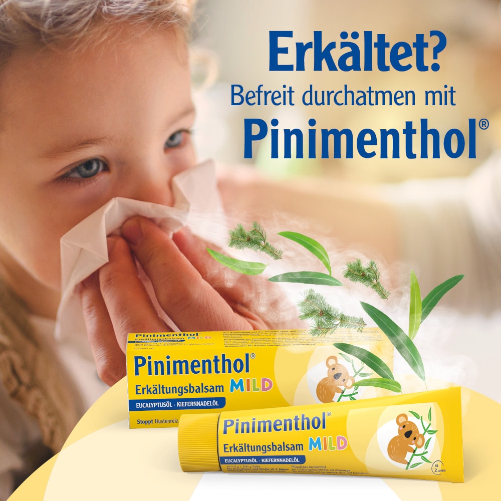Pinimenthol Erkältungsbalsam mild ab 2 Jahren - mit Eucalyptus- und Kiefernnadelöl 50 g Salbe