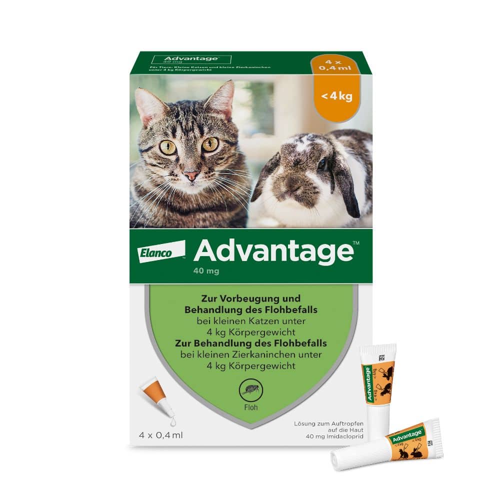 Advantage 40 mg für kleine Katzen und kleine Zierkaninchen 4X0.4 ml Lösung